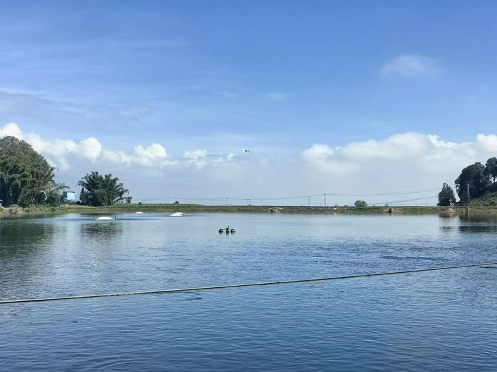 يوننان الصينية تصدّر لأول مرة أسماك مياه عذبة حية إلى الإمارات خلال رحلة جوية تستغرق 12 ساعة