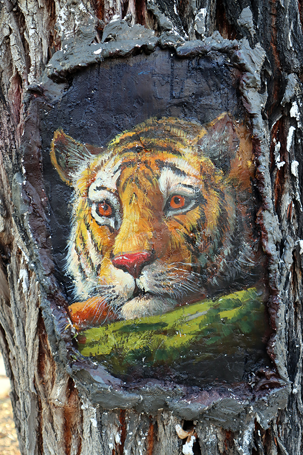 هامي، شينجيانغ: حيوانات صغيرة 