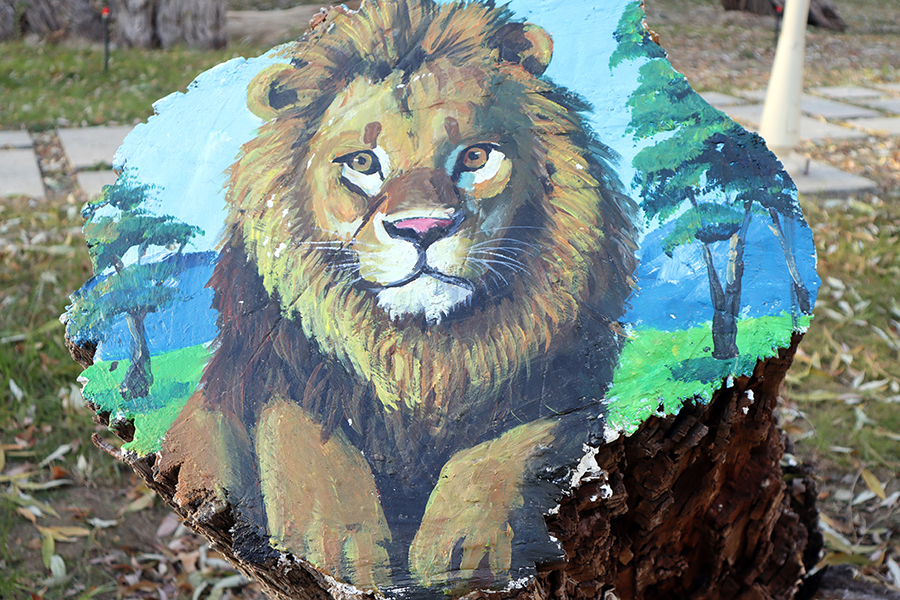 هامي، شينجيانغ: حيوانات صغيرة 