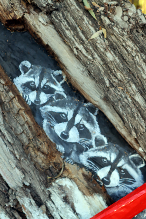 هامي، شينجيانغ: حيوانات صغيرة 