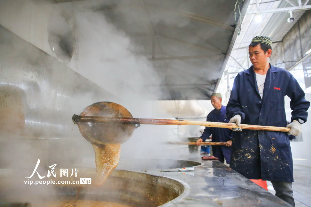 توسيع مزارع قصب السكر يحيي صناعة السكر البني في لونغهوي