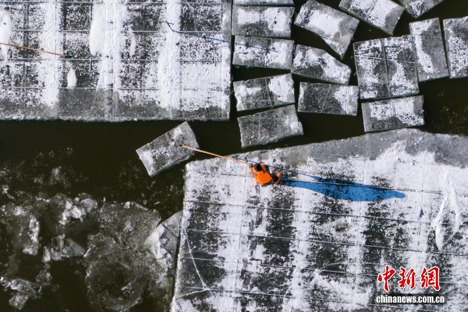 في هاربين... العمّال يتوافدون على محاجر الجليد قبل انطلاق مهرجان النحت