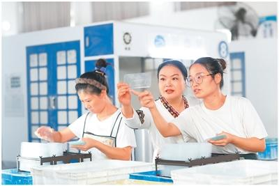 من كشك صغير إلى السوق العالمية، زوجان صينيان يحولان واقيات الشاشة إلى صناعة بحجم 600 مليون وحدة سنويا