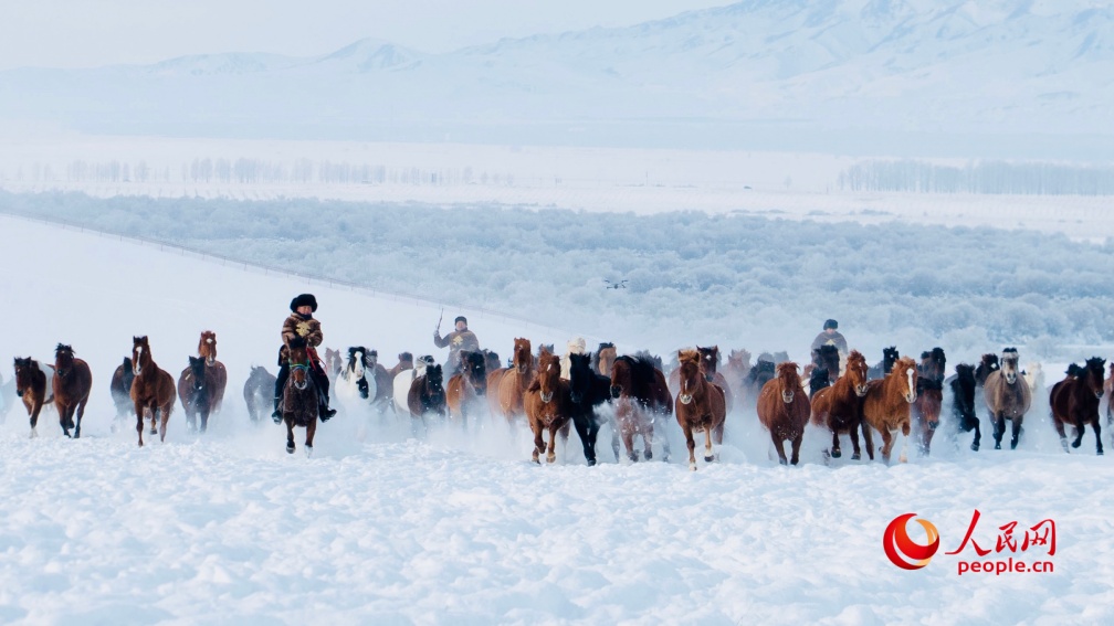 عرض الخيول السماوية فوق السهول الثلجية يذهل الزوار في تشاوسو