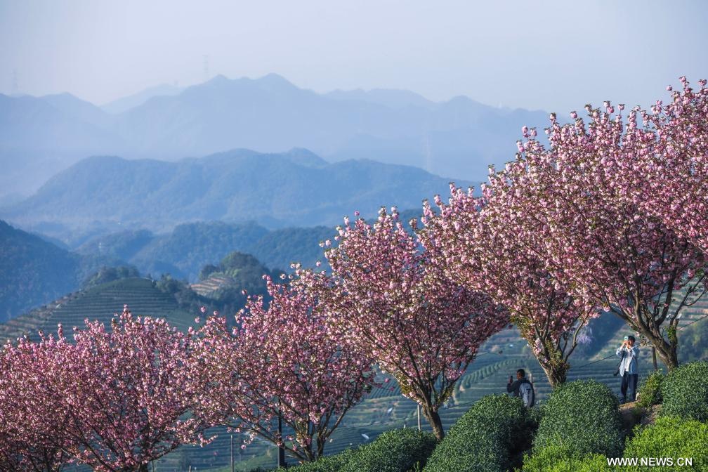 الأمم المتحدة تدرج هانغتشو الصينية ضمن أعلى 20 مدينة خالية من النفايات على مستوى العالم