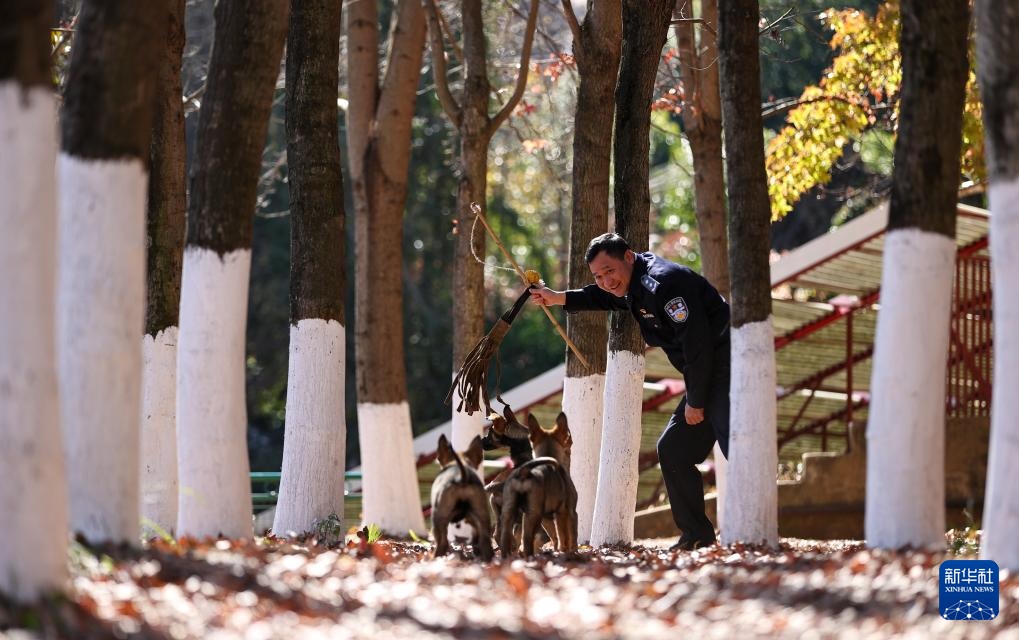 اكتشاف قاعدة تدريب كلاب الشرطة في كونمينغ