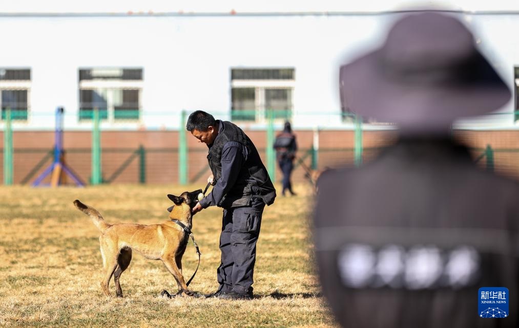 اكتشاف قاعدة تدريب كلاب الشرطة في كونمينغ