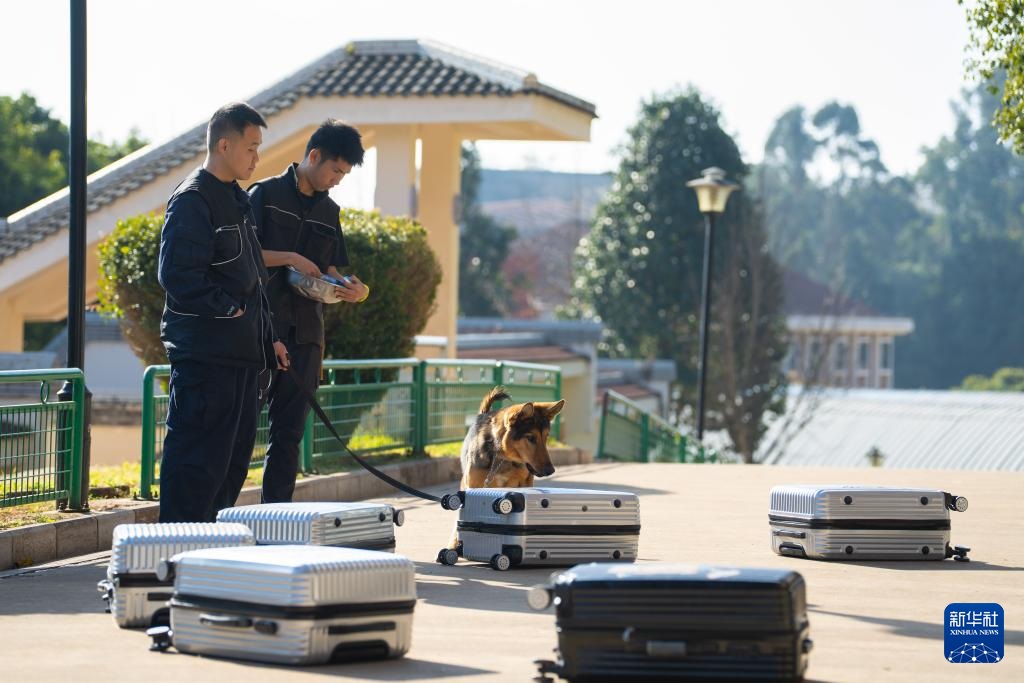 اكتشاف قاعدة تدريب كلاب الشرطة في كونمينغ