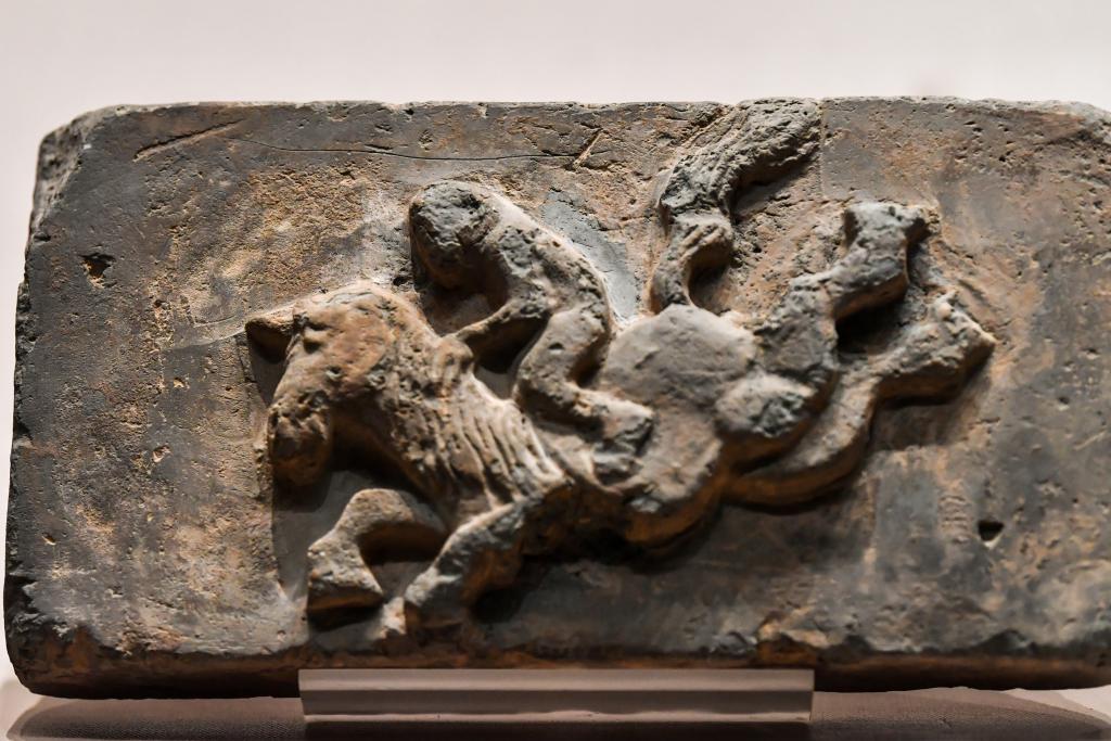 ثقافة الخيول في الصين: إرث حضاري متجسّد في المباني التاريخية والآثار الثقافية