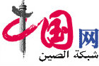 شبكة الصين
