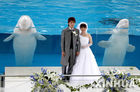 حفلة زفاف رومانسية فى متحف المائيات