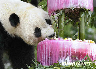 احتفال الباندا  تايشان بعيد ميلاده (4 سنوات) فى واشنطن