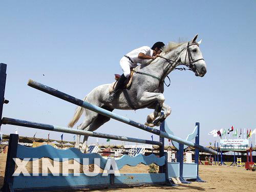 مهرجان دولي للخيول العربية في مصر 