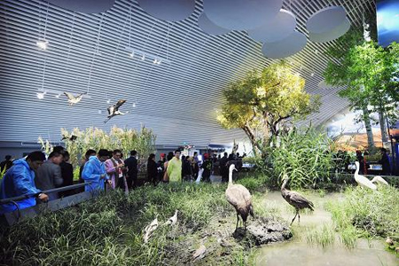 متحف أراض رطبة صيني يفتح أبوابه للجمهور 