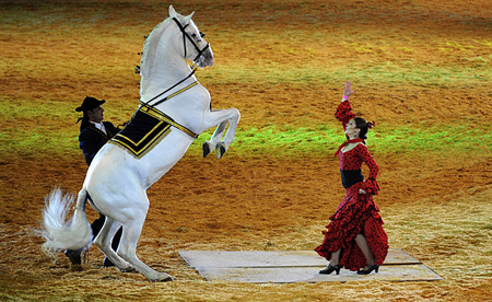 الحسناء ترقص اللاتينية مع الحصان