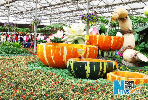 شاندونغ:سياحة الخضروات أصبحت شعبية فى العطلة بمناسبة اليوم العالمي للعمال