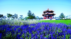افتتاح أكبر حديقة الأراضي الرطبة ببكين