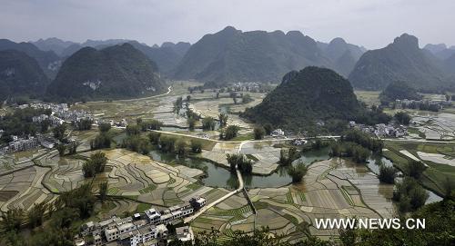 الحقول الجميلة في منطقة قوانغشي ذاتية الحكم لقومية تشوانغ جنوب الصين 