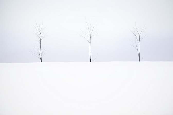 "العالم الأبيض" من أعمال مصور هنغاري أكوس ماجور