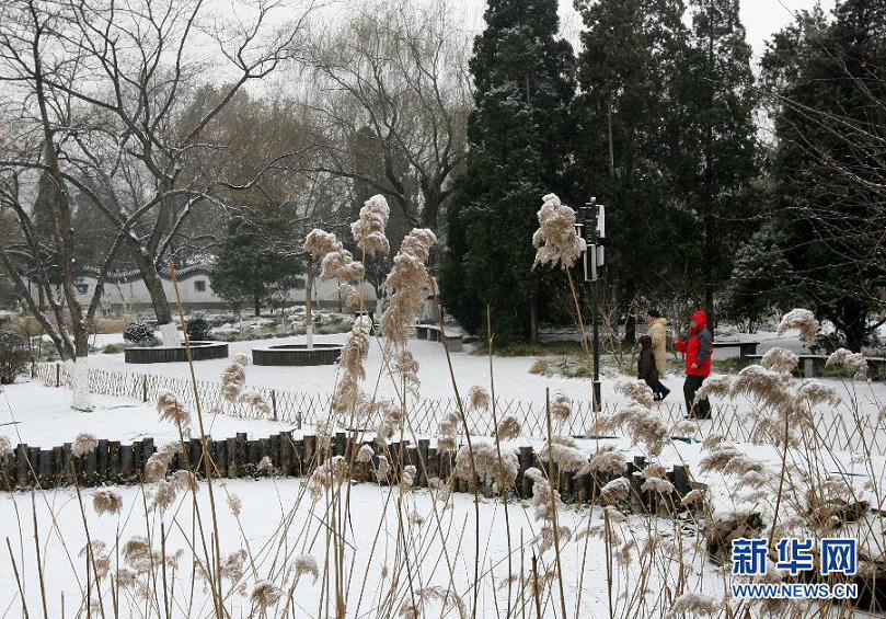 الثلوج الكثيفة تهطل على بكين  (15)