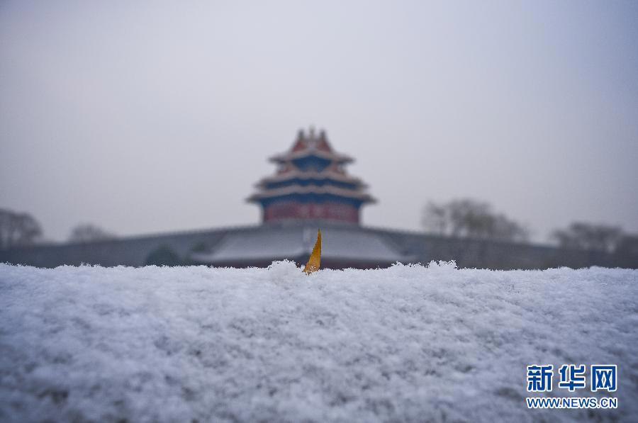 الثلوج الكثيفة تهطل على بكين  (4)