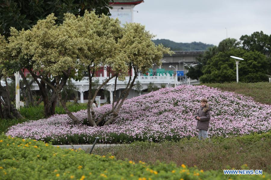 إقامة معرض الزهور في تايبيه  (3)