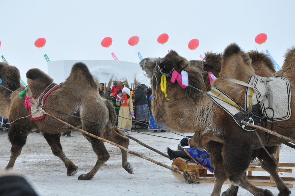 افتتاح مهرجان "نادامو" الشتوي 2012 في منغوليا الداخلية (8)