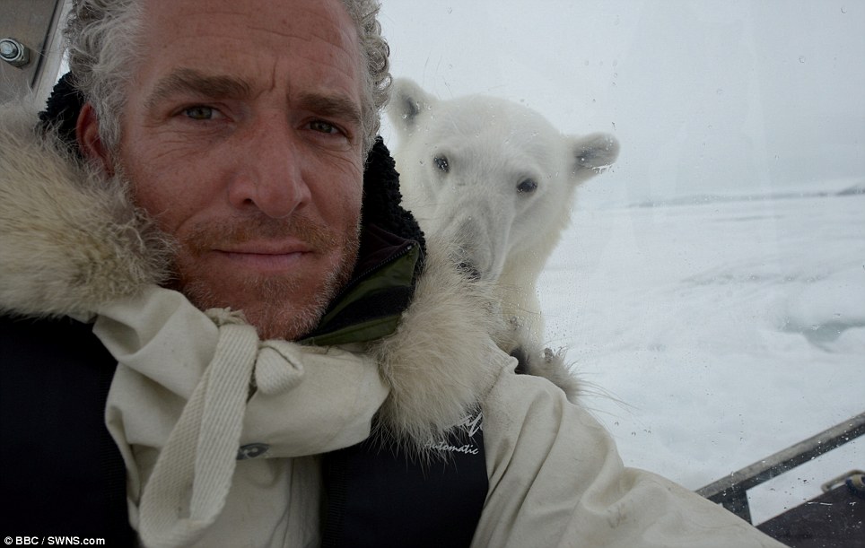 صور مذهلة! اتصال قريب بين مصور بريطاني ودب قطبي جوعان (10)