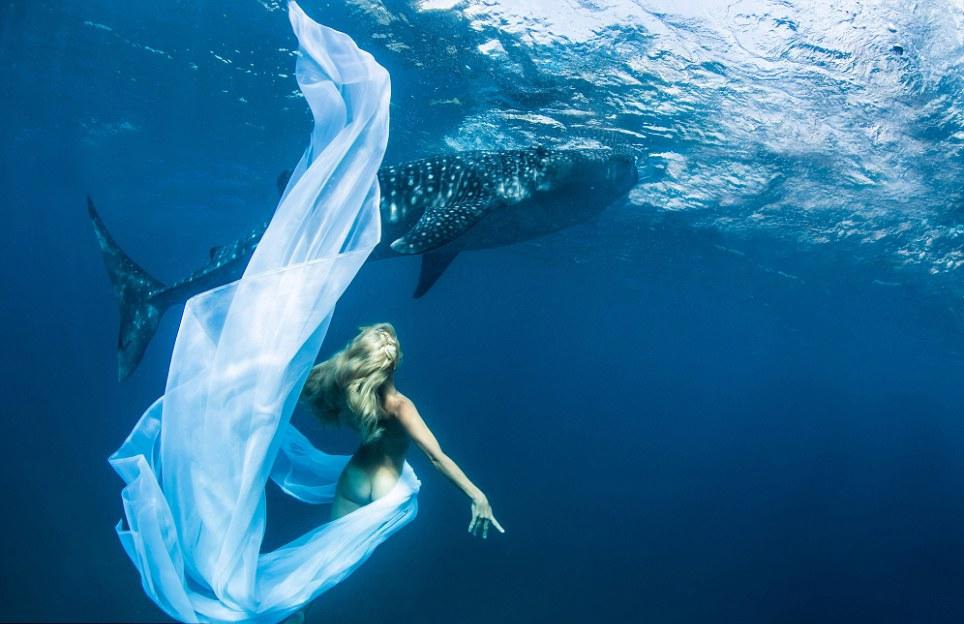 الجمال الخطير:رقص عارضة أزياء دولية مشهورة مع سمك القرش (6)