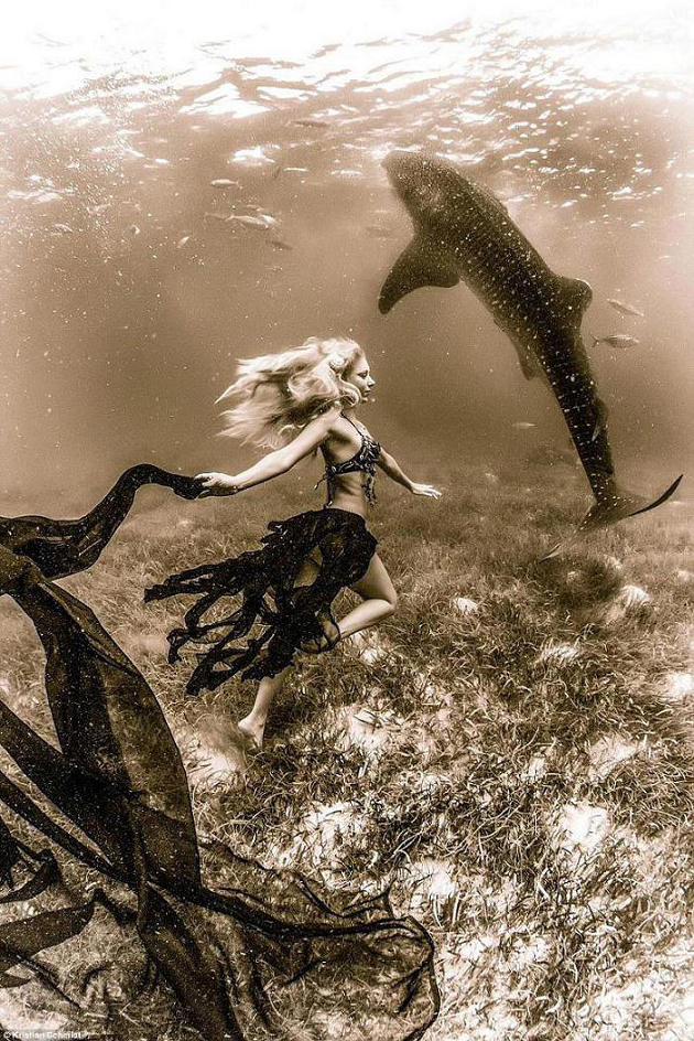 الجمال الخطير:رقص عارضة أزياء دولية مشهورة مع سمك القرش