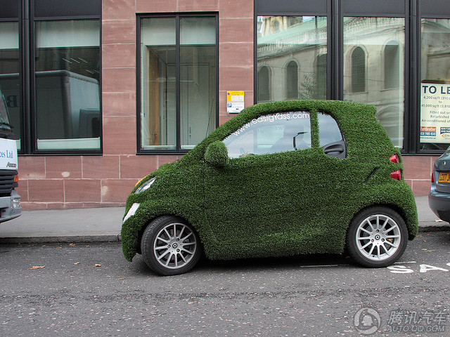السيارات "الخضراء" الفريدة المكسوة بالعشب تظهر على الطرقات  (26)