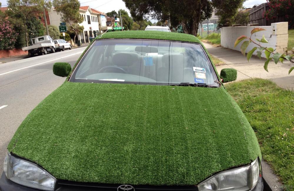 السيارات "الخضراء" الفريدة المكسوة بالعشب تظهر على الطرقات  (25)