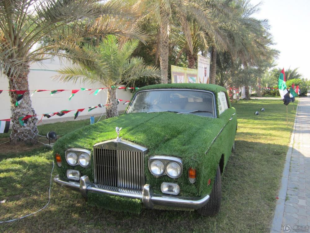 السيارات "الخضراء" الفريدة المكسوة بالعشب تظهر على الطرقات  (24)