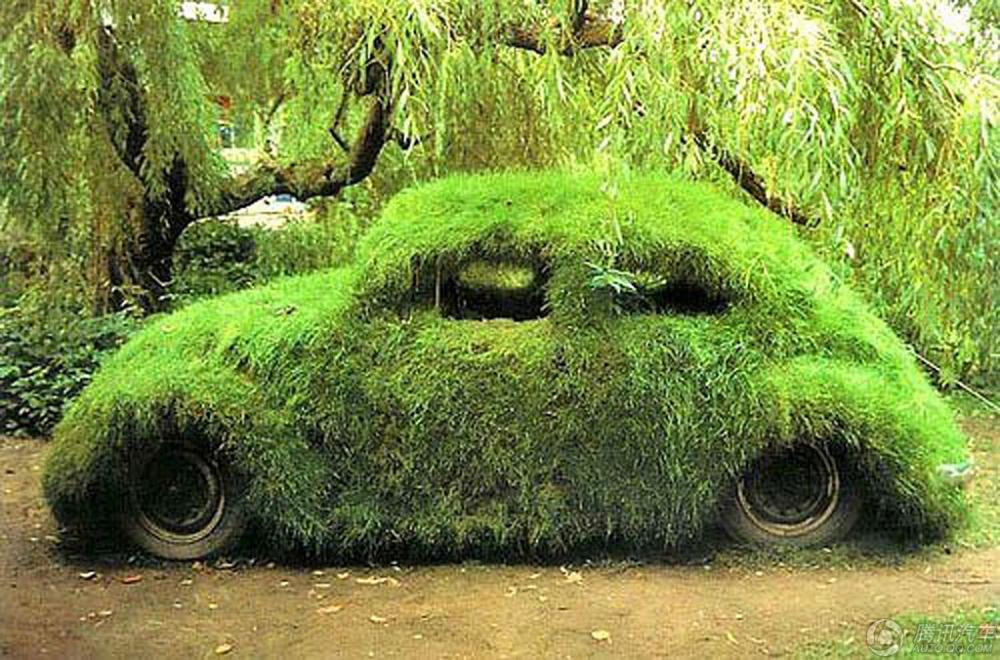 السيارات "الخضراء" الفريدة المكسوة بالعشب تظهر على الطرقات  (22)