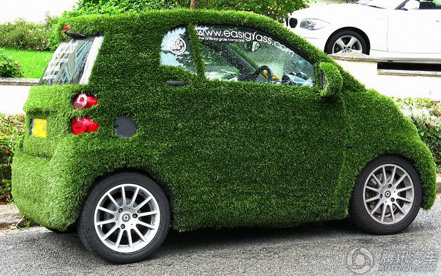 السيارات "الخضراء" الفريدة المكسوة بالعشب تظهر على الطرقات  (16)