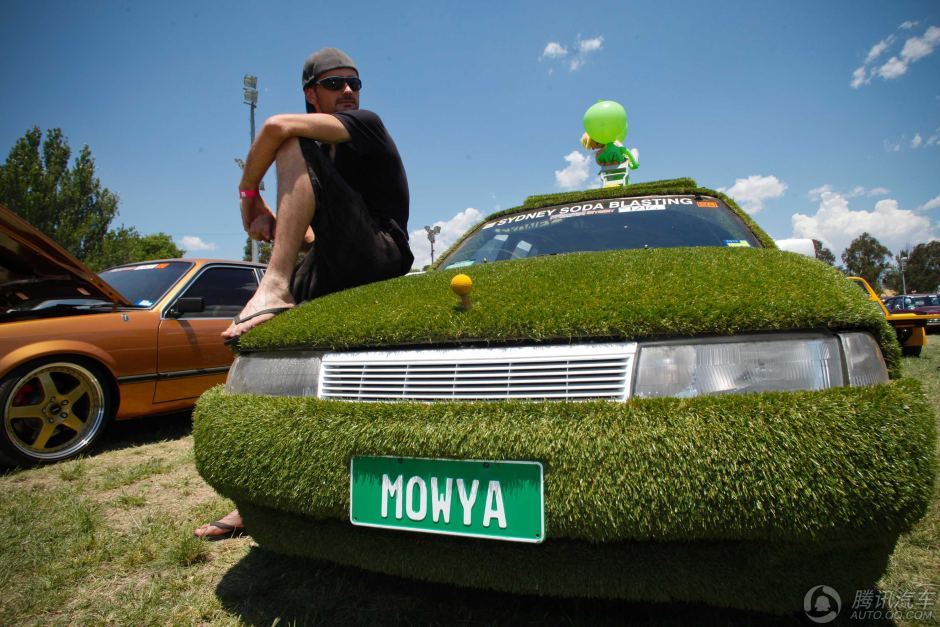 السيارات "الخضراء" الفريدة المكسوة بالعشب تظهر على الطرقات  (12)