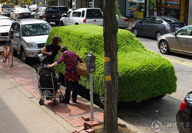 السيارات "الخضراء" الفريدة المكسوة بالعشب تظهر على الطرقات  (9)