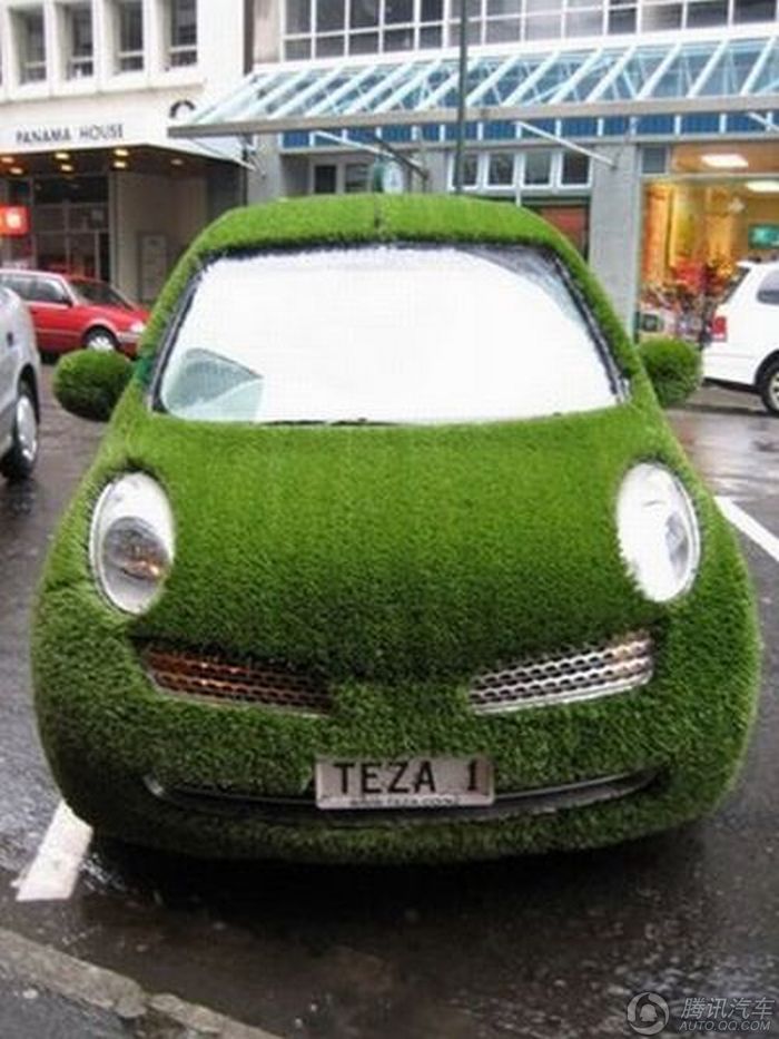 السيارات "الخضراء" الفريدة المكسوة بالعشب تظهر على الطرقات  (3)