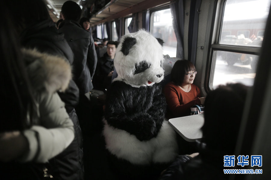 مسافرة تجرب رحلة عيد الربيع مرتدية لباس الباندا 