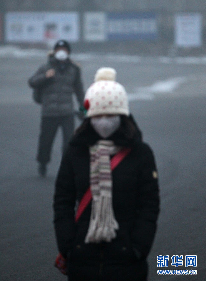 صور:ارتداء سكان بكين الكمامات للوقاية من الضباب الدخاني  (14)