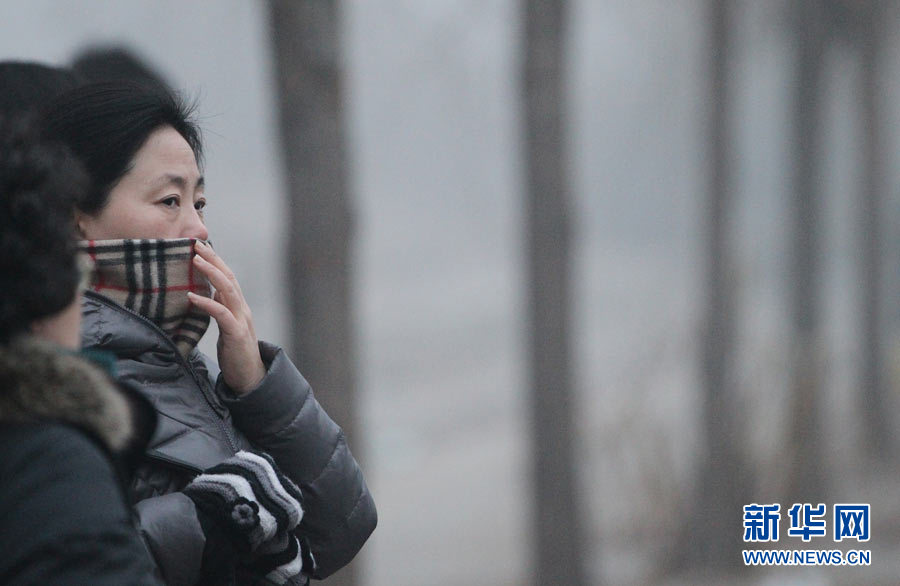صور:ارتداء سكان بكين الكمامات للوقاية من الضباب الدخاني  (12)