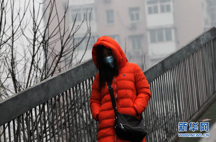صور:ارتداء سكان بكين الكمامات للوقاية من الضباب الدخاني  (6)