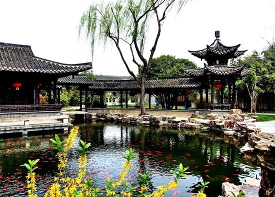 يانغتشو بمقاطعة جيانغسو: التمتع بزهور البرقوق بجانب بركة اللوتس 