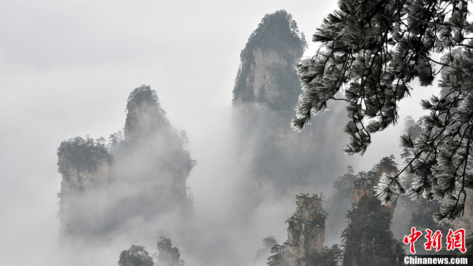 بحر السحب وضباب الصقيع يشبه لوحة الحبر الجميلة في تشانغجياجيه  (3)