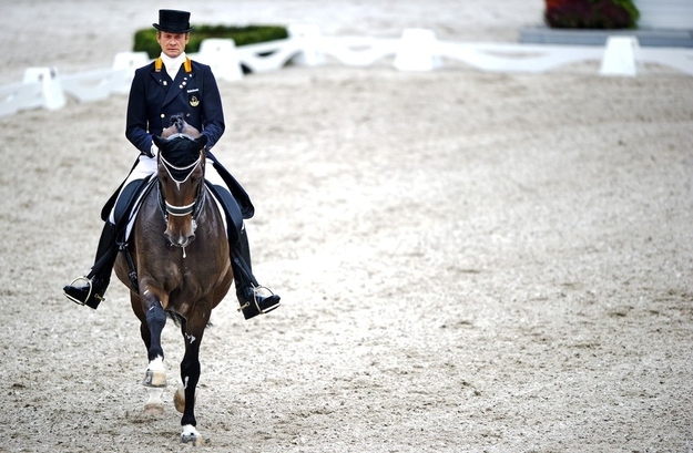 الهولندي ايدوخوا جيار (42)،ويعتبر هو وحصانه زعيمي المجموعة الدولية في الفروسية، وقد فاز بثلاث ميداليات ذهبية في بطولة العالم لعام 2010. شارك في أولمبياد لندن في عام 2012.