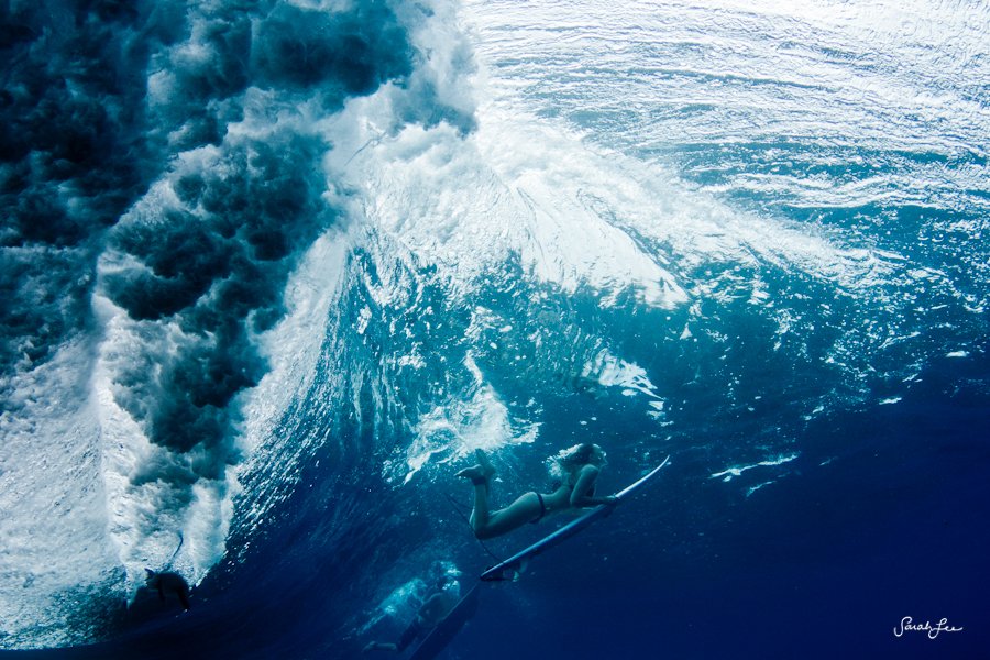 مصورة أمريكية تأخذ صورا مذهلة ورائعة تحت المياه  (18)