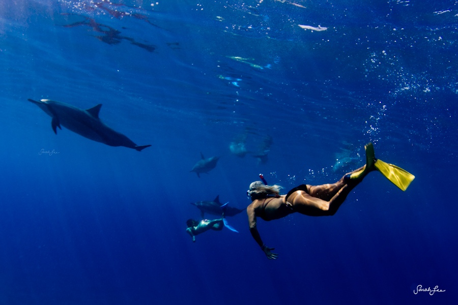 مصورة أمريكية تأخذ صورا مذهلة ورائعة تحت المياه  (16)