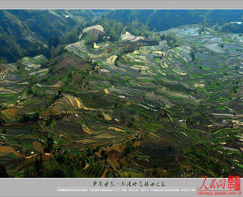حقول يوانيانغ المدرجة: فردوس الدنيا  (21)