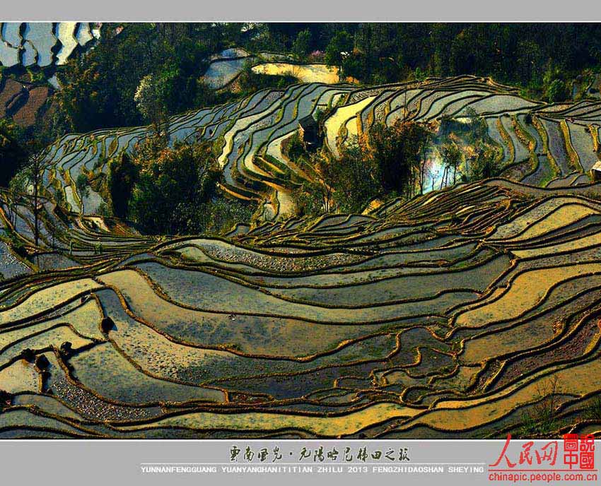 حقول يوانيانغ المدرجة: فردوس الدنيا  (2)