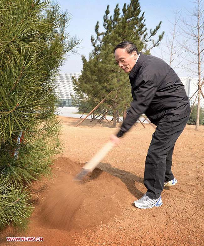 الرئيس الصيني يزرع أشجارا للترويج لمفهوم "الصين الجميلة" (6)